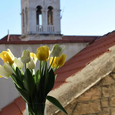 Optimist Town Center Makarska